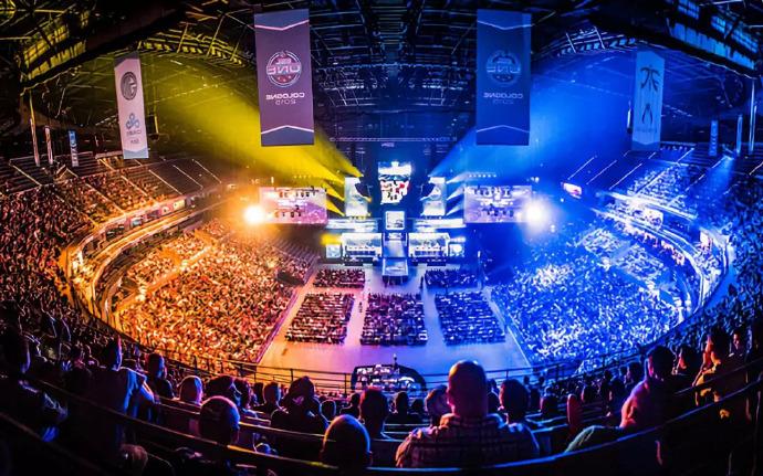 乓球队的主 乓球队的主