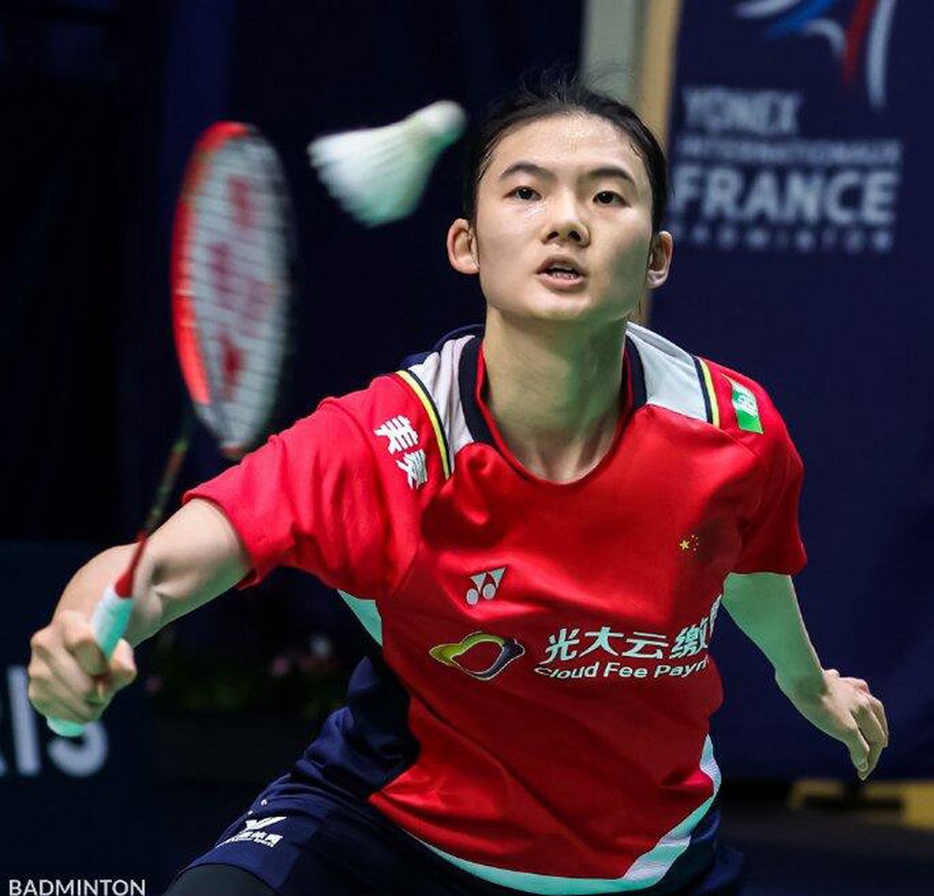 不仅意味着 不仅意味着