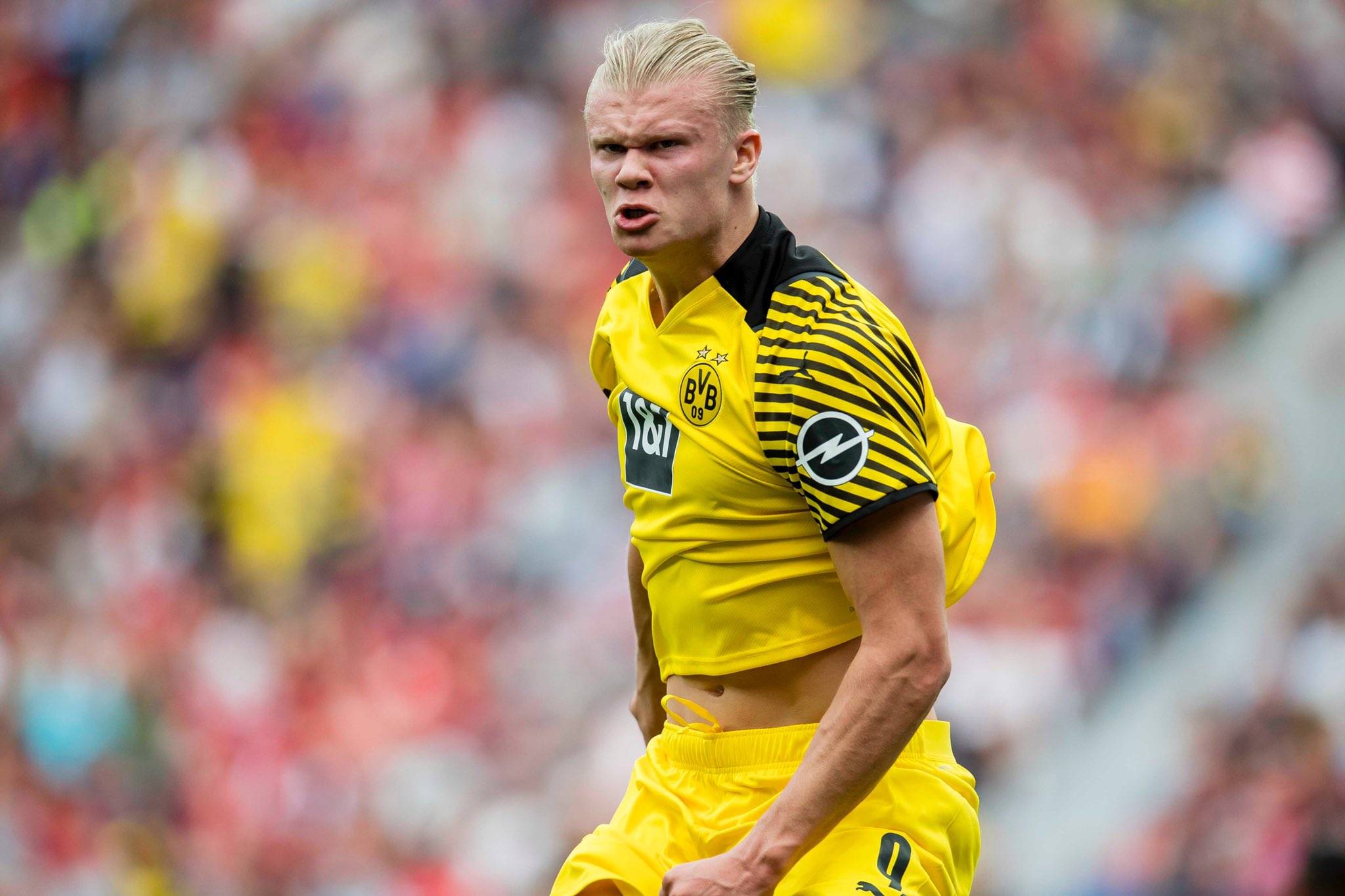 分动机以续 分动机以续